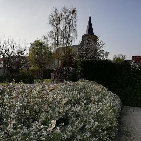 B&B 'T Huys Van Enaeme オーデナールデ エクステリア 写真